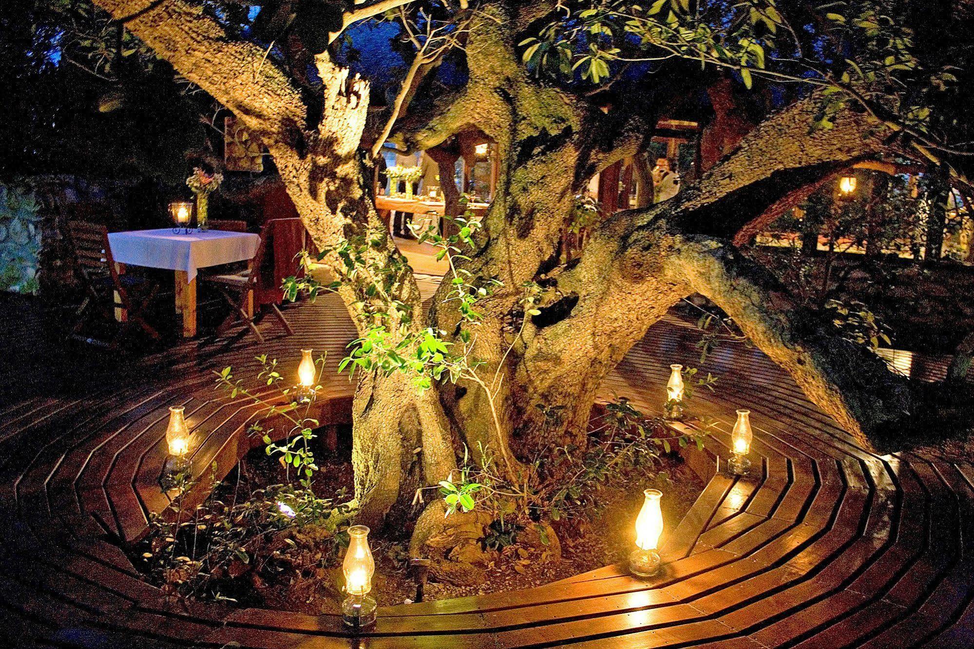 Mosaic Lagoon Lodge 스탠포드 외부 사진